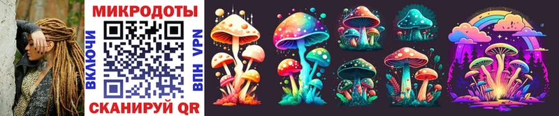 Галлюциногенные грибы GOLDEN TEACHER  Купить где  Сурск 